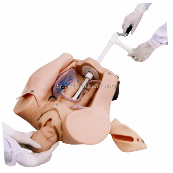 Childbirth Demonstration Simulator for Medical Science Training and Skill Development
