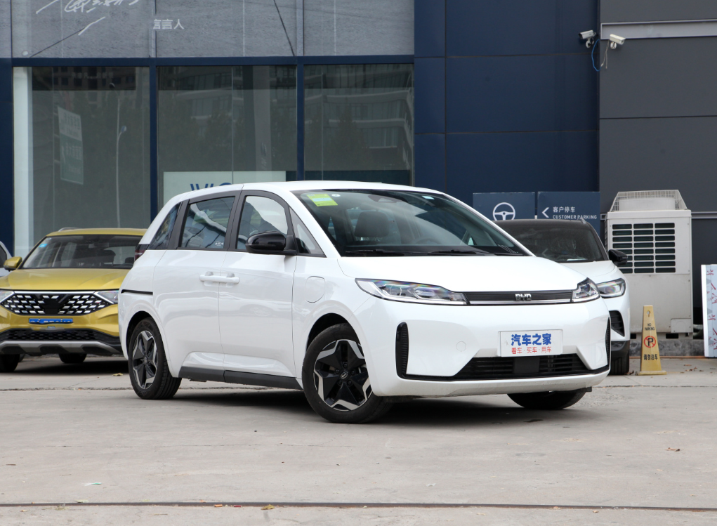 2024 BYD D1 EV Автомобиль Стандартное издание Электрические такси MPV для бизнеса 5 мест 5 дверей