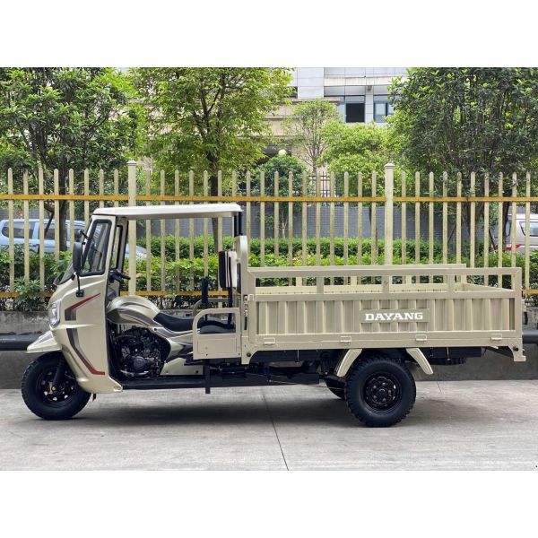 Задняя ось полный плавучий мотоцикл трехколесный груз для взрослых Роза золото корпус 168