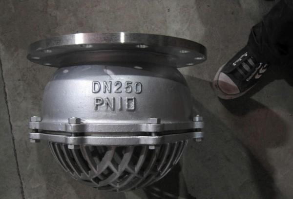 Factory Price Stainless Steel PN10 Flanged Foot Valve