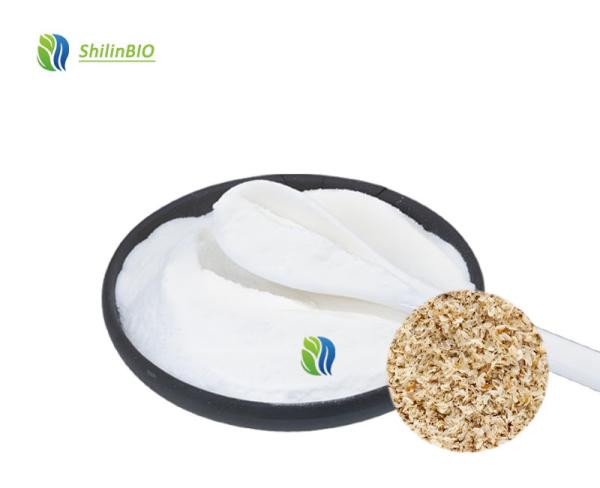 Psyllium Husk Powder Bulk 98% Dietary Fiber
