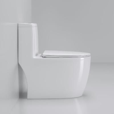Dual-Flush Ceramic Floor Mounted Toilet Set with Hidden Water Tank One Piece Bowl P-Trap S-Trap Installation Toilets Lavatory