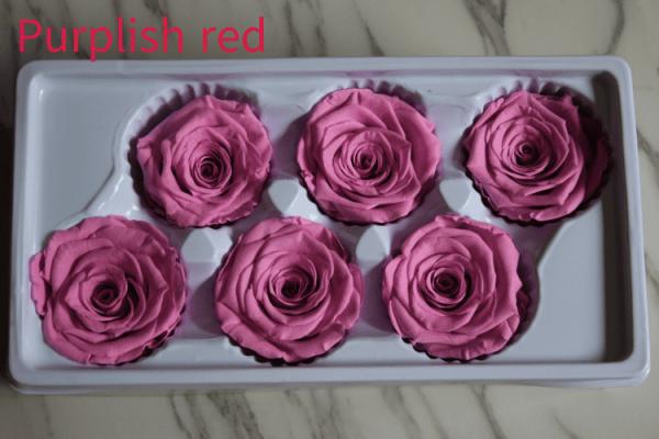 Natural preserved fresh flowers for Valentines day Never Withered Flowers Home Decoration