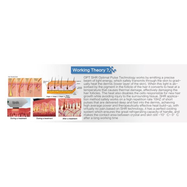 AFT OPT SHR Hair Removal Machine High Frequency For Salon CE Certification