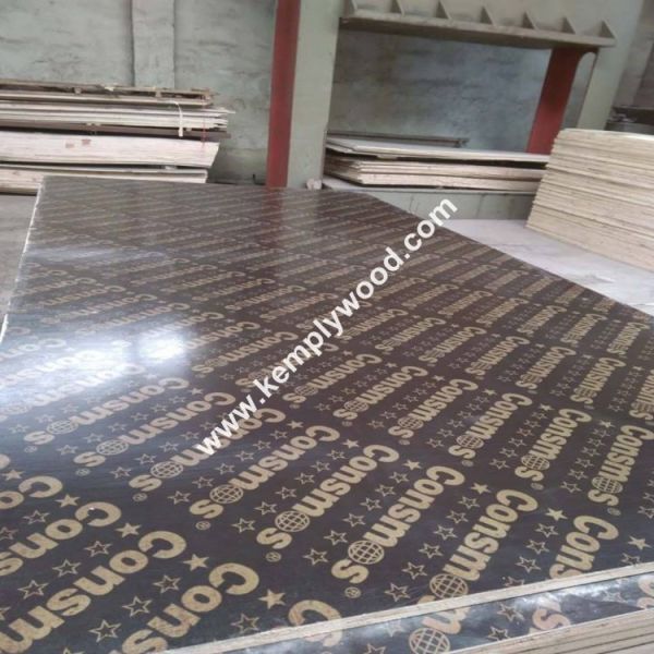 Two times hot pressed film faced plywood, Good quality construction shuttering plywood, Best price maine plywood