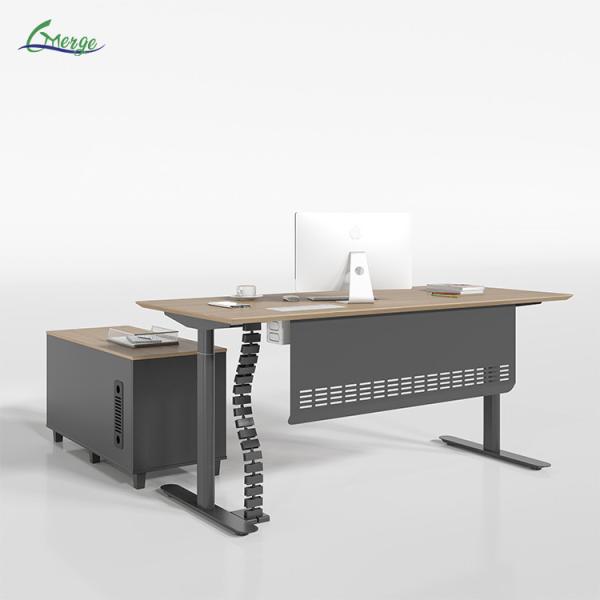 Style Modern Work Office Desk Uplift Electric Sit-Stand Desk with Customized Size