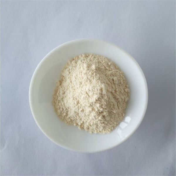 50%Extract powder garcinia cambogia