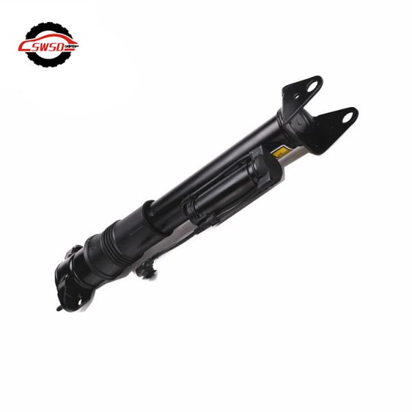 W251 R-Class 2513201931 Air Spring Strut Mercedes-Benz Air Suspension Parts