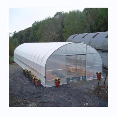 Tomato Hydroponic Agricultural Greenhouse For Enhanced Yield In Single Span Design