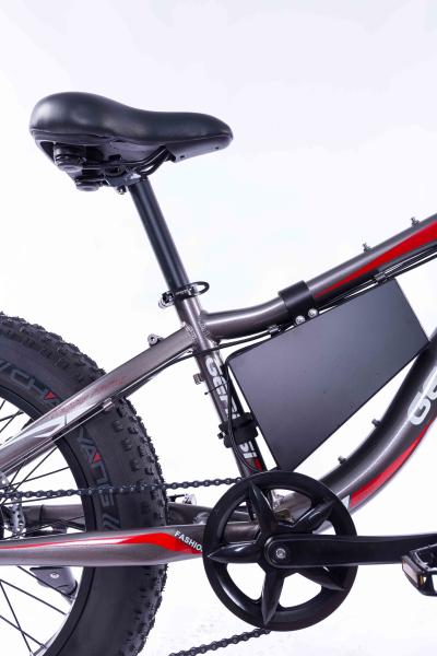 7 Speed Fat Wheel Electric Bike Mountain Beach Use Snow Resistance 26 Inch