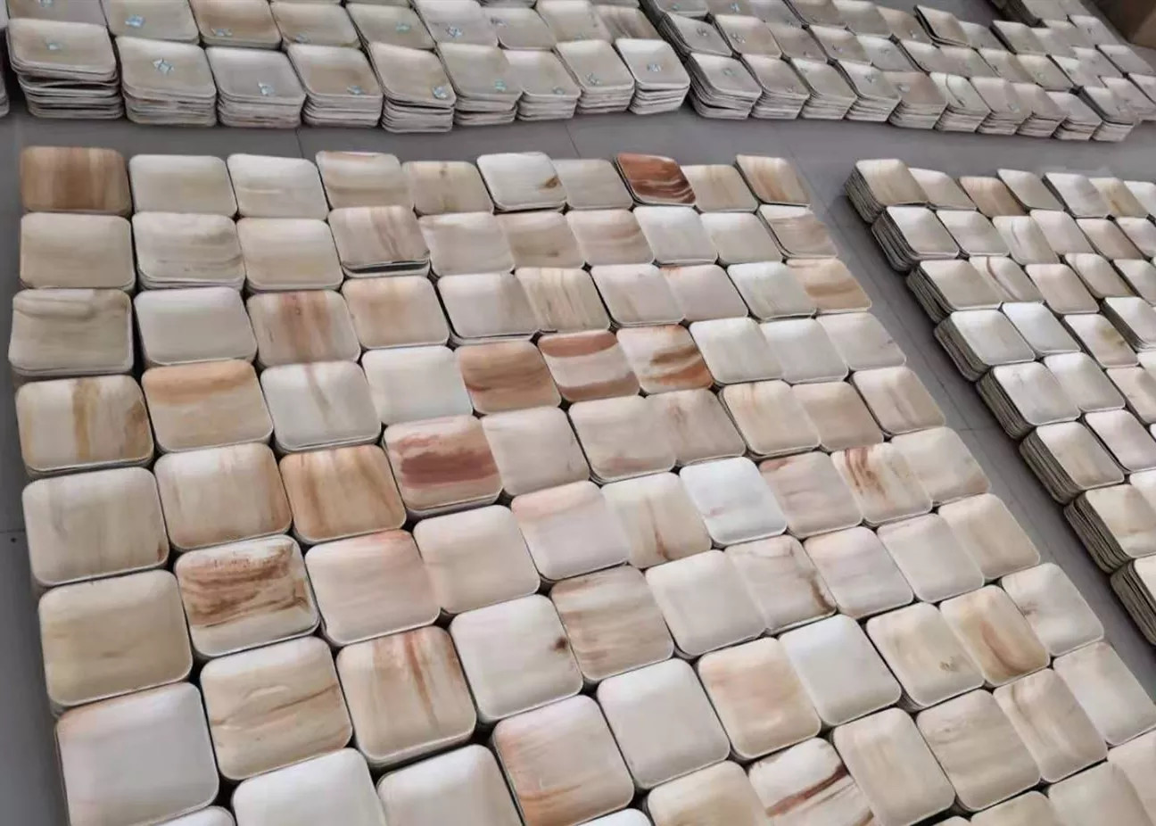 SGS Biobased лист 100% ладони покрывают устранимое для дня рождения детей