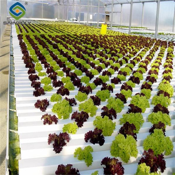 Large Size Vertical Hydroponic Greenhouse Stable Structure Easily Assembled