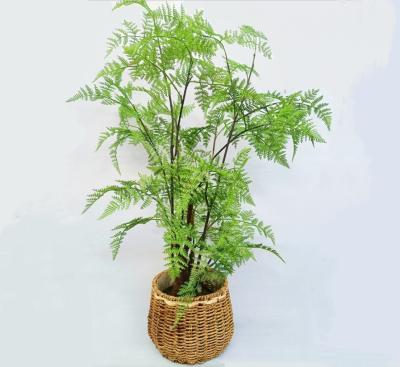 Lifelike Green Artificial Tropical Plant For Office Table Decor Boston Fern