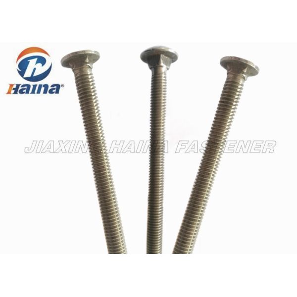 Round Head square neck 316 304 Stainless Steel Full Thread coach Bolts