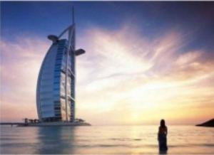 Professional China Sea Freight Services DDP Lcl Ocean Freight China to Dubai