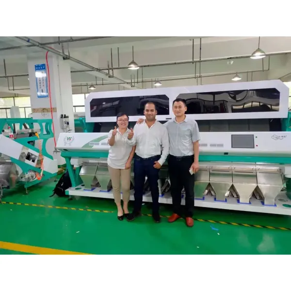 Máquina de clasificación de colores de nueces de almendras de Wenyao Pecanas Máquina de clasificación de colores con cámara CCD