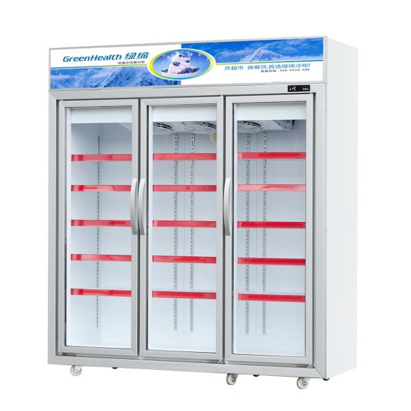 Upright 3 Door Freezer Showcase / Glass Door Freezer Auto Defrost R404a Refrigerant
