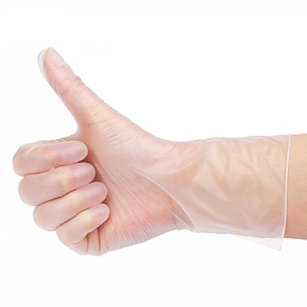 Eco Friendly Disposable Protective Gloves ，Disposable PVC Work Gloves