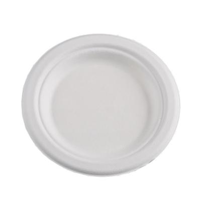 Customized Disposable Paper Plate Round Sugarcane Pulp Paper Plate for Birthday Cake