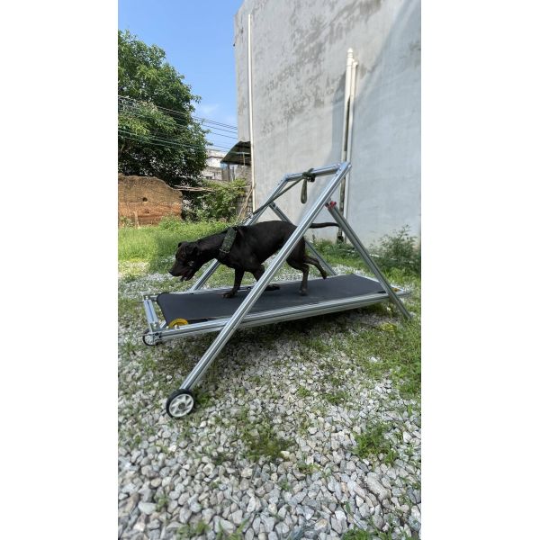Dog Exercise Slatmill Pets Treadmill Walking Machine for Pit Bull Stocked Carpet Mill