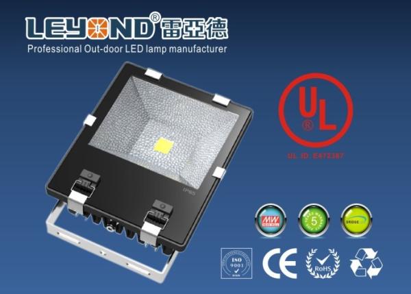 UL CE RoHS Listed Waterproof LED Flood Lights Whole Allumium 100W Outdoor Lighting