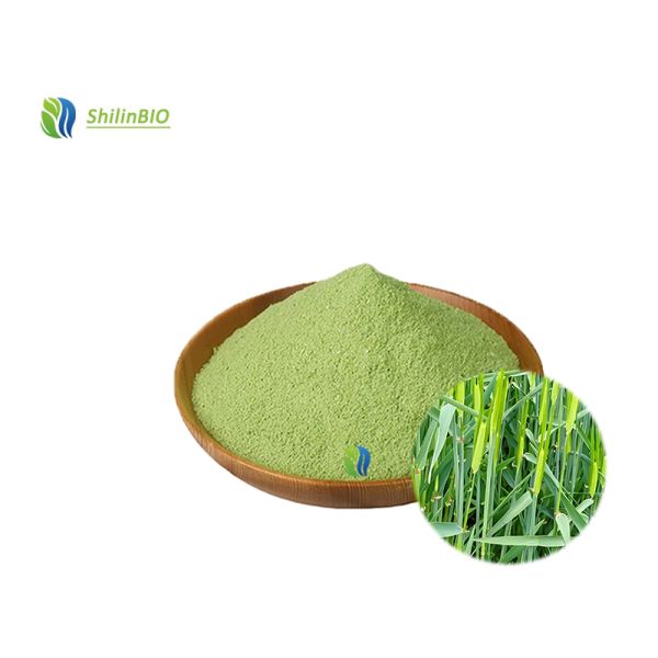 Bulk Superfood Wheat Grass Powder Food Grade Nutritional Supplement WheatGrass Powder Super Greens Wheat Grass Juice Powder