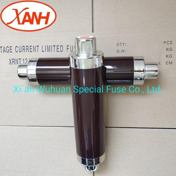 Insert Installation Bay O Net  Current Limiting Fuse 7.2 Kv High Voltage 25A