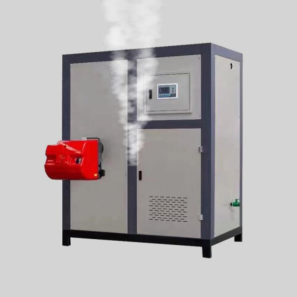 Gas Light Kerosene Heating Steam Boiler 100-500kg Biomass Particles Steam Generator Vegetable Dehydration Drying