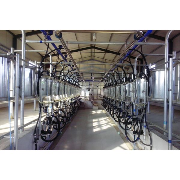 Animal Dairy Portable Milking Machine Small Automatic Electric Cow Goat