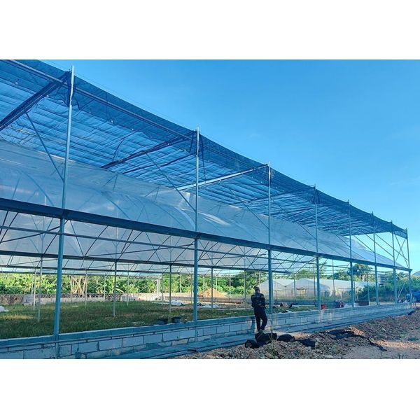 Invernadero grande galvanizado y sumergido en caliente con cubierta de plástico resistente a los rayos UV