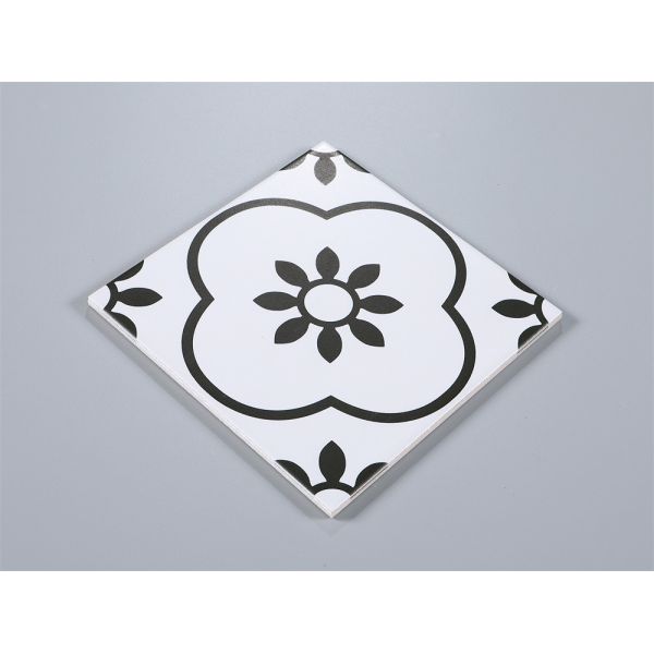 20x20cm Black White Ceramic Rustic Tile AAA Grade Indoor Floor Wall