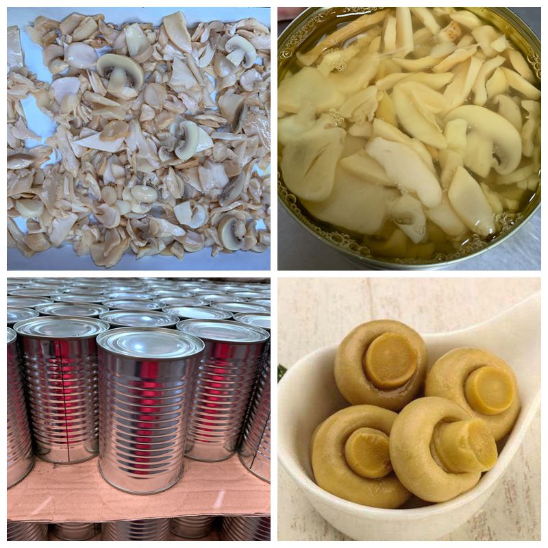 5.29oz законсервировало части кусков гриба Champignon