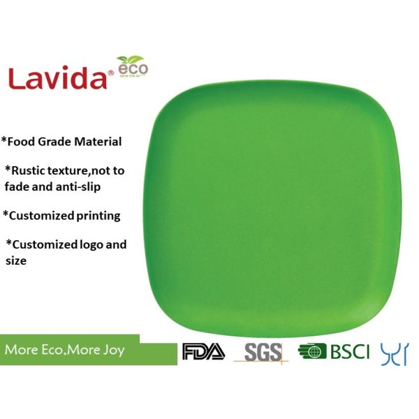 New Fashionable Design Popular School Bamboo Fibre Square Dinner Plate Plant Fibre Square Dinner Plate 11' 28cm