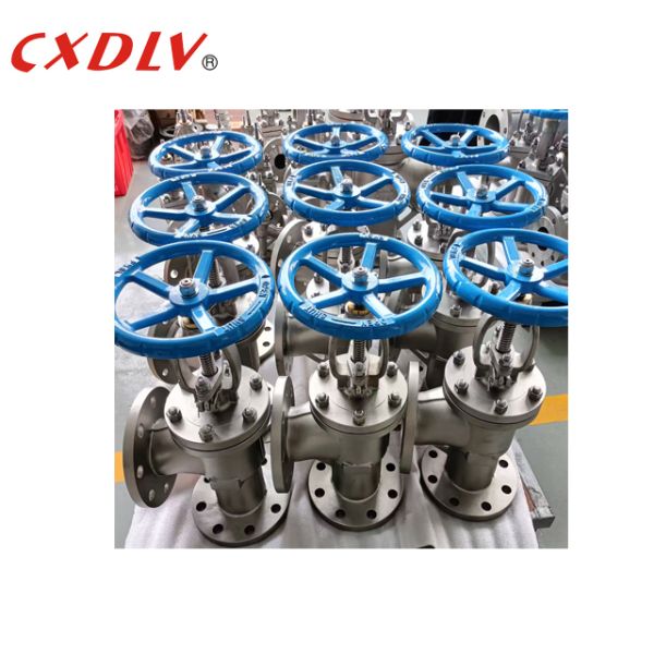 DN50-DN200 Flanged Angle Globe Valve Manual Handle Wheel Operation Shipboard Seawater Service