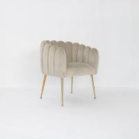 Stainless Steel Legs European Armless Velvet Dining Room Chairs