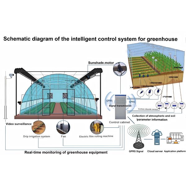 Agricultural planting use, Wannuo sightseeing glass greenhouse