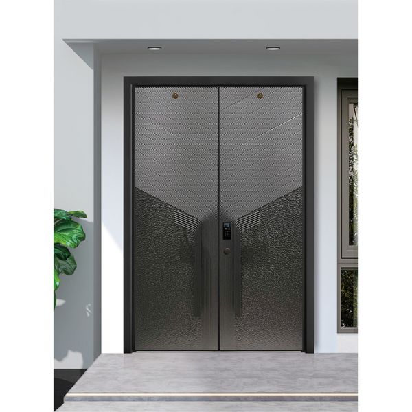 Modern Stainless Steel Entrance Door Exterior Door Smart Lock Front Door For House Gate