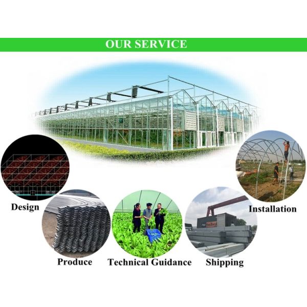 Секция 4m-5m Теплицы - окончательное решение для коммерческого земледелия