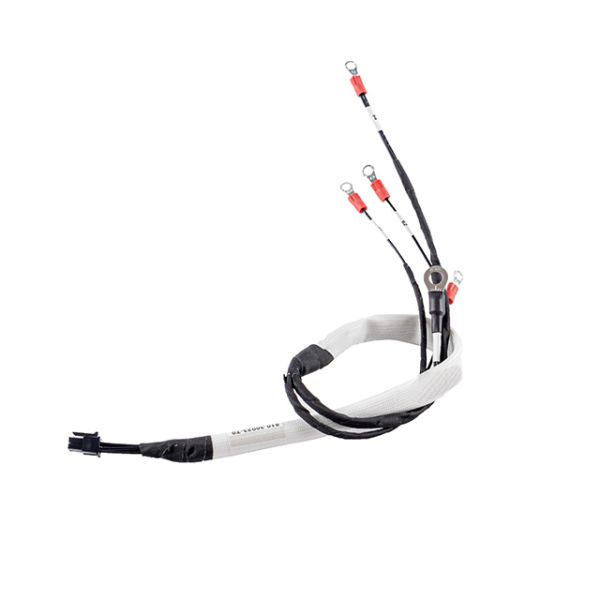 DC300V Automotive Wiring Harness New Energy Sampling Automated Wire Harness Assembly