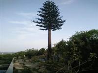 Paisajismo Camuflaje Pino Monopolo Antena Torre Artificial