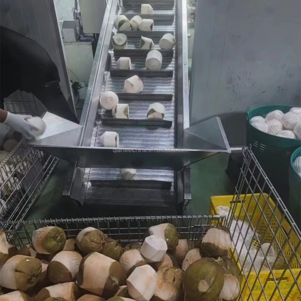 Coconut Cutter Grinding Machine Coconut Water Concentrate Oil Pressers Extraction Machine