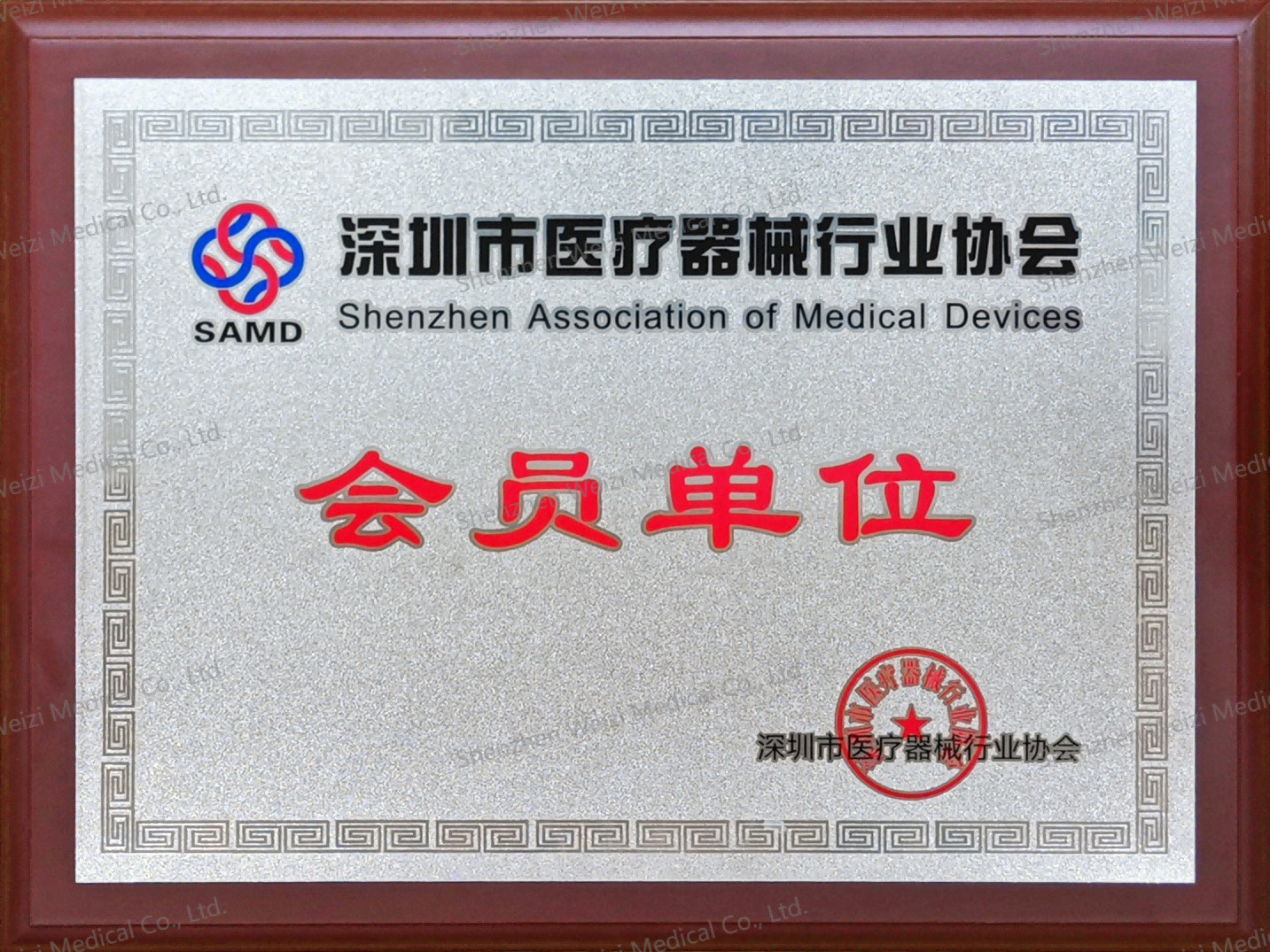 Shenzhen Weizi Medical Co., Ltd. Сертификации
