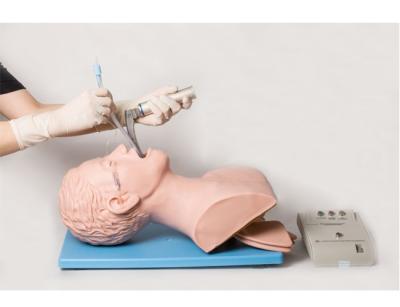 Intubation Training Electronic Airway Management Manikin