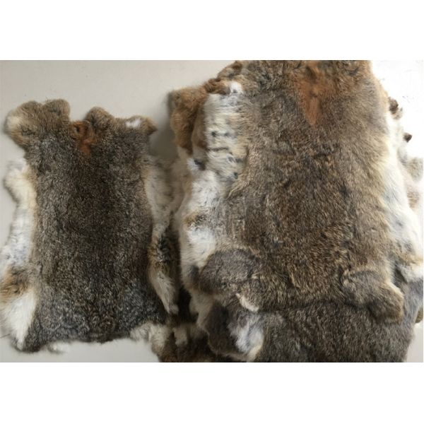 La suavidad caliente de la felpa del conejo del tiro mullido de la piel teñió los colores para el hogar/el hospital/el hotel