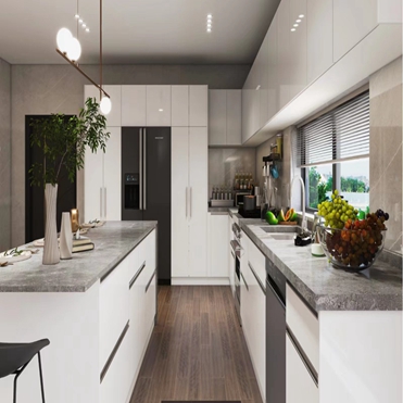 Custom Modular Kitchen Cabinets with Glossy Paint-Free Design and Shaker Door Panel