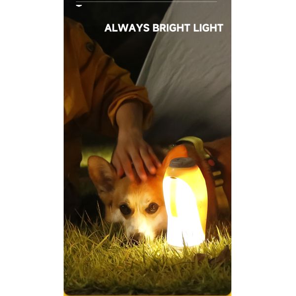 Amarillo 220V-240V Botella de bebida para perros PP Botella de agua ligera para viajes