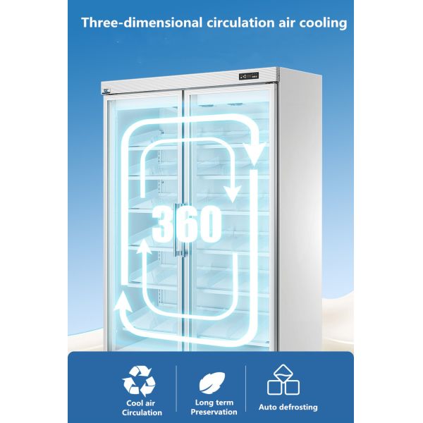 Arsenbo Antiwear Double Door Glass Fridge , Electric Supermarket Display Fridges