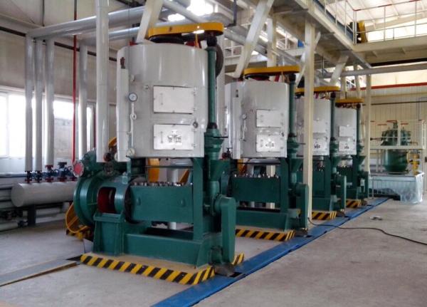 50tpd Palm Kernel Mustard Oil Expeller Plant Unit