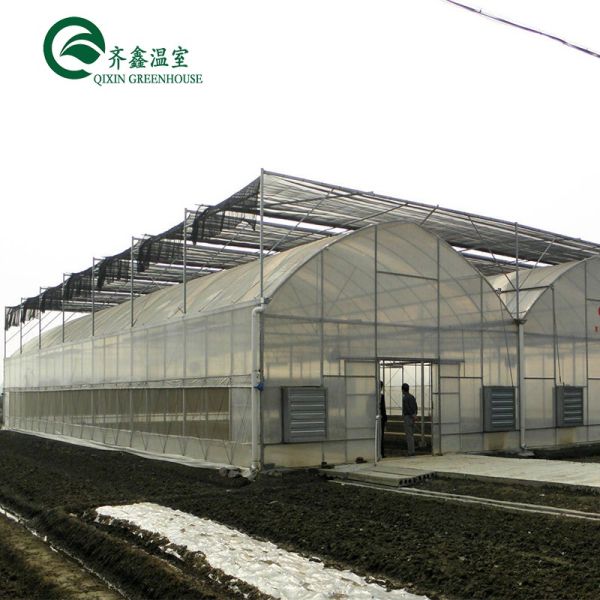 Large Steel Greenhouse Structure Shed Design With 150/200micro PE Film Covering