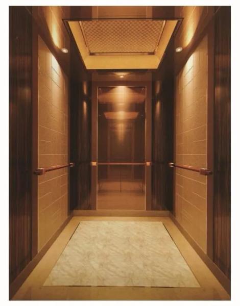 ORIA Affordable and Safe Comfortable and Silent passenger elevator